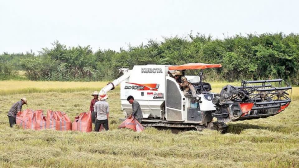 柬埔寨计划建立农业中心，助力柬中农产品进出口！