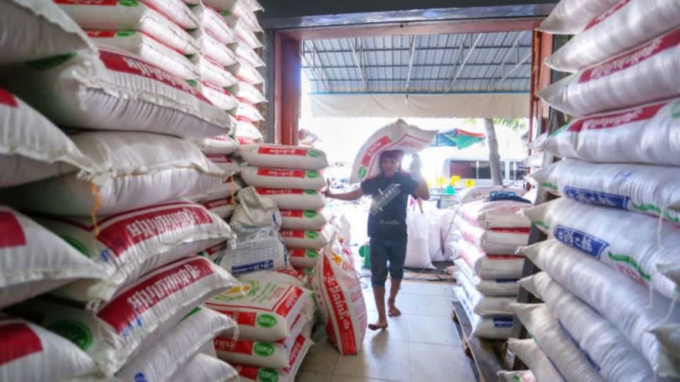 增长19.9%！首季度柬埔寨出口大米总值1.26亿美元！