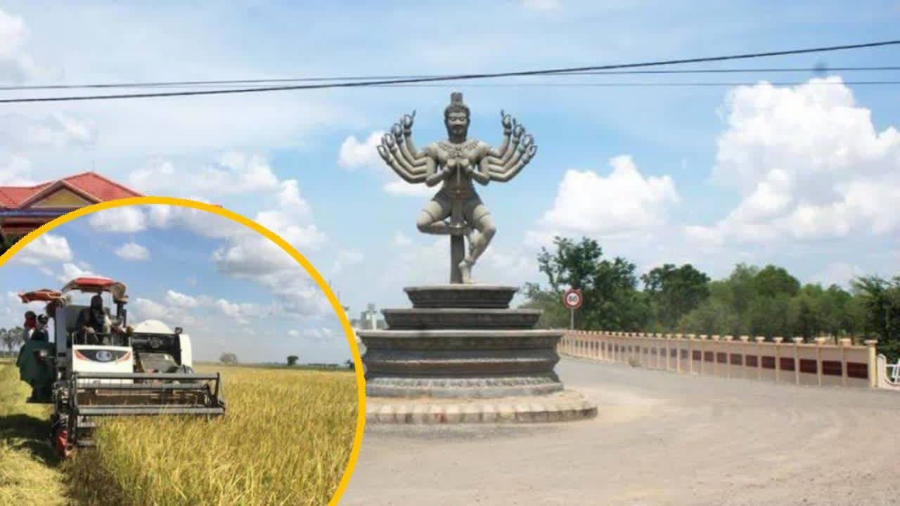 波萝勉省是全柬近15年大米产量最高的省份