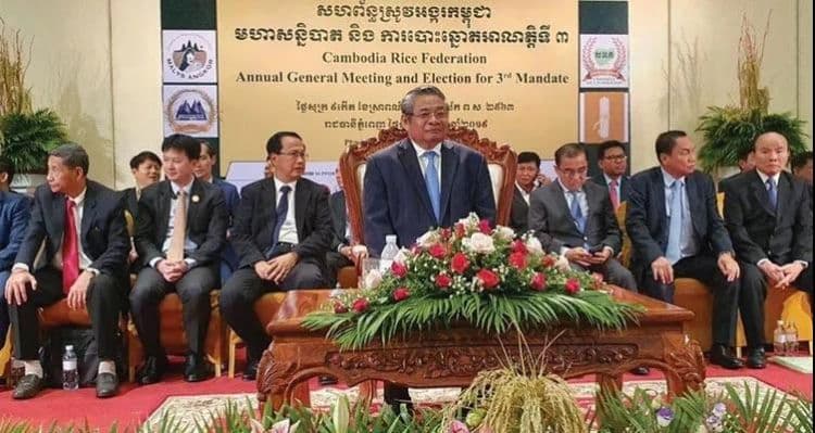 柬埔寨投资选什么？柬埔寨稻米潜力大，日本投资者已入场