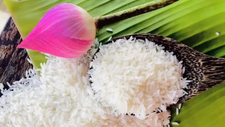 10年增长100倍！柬埔寨大米成输华农产品“标杆”！