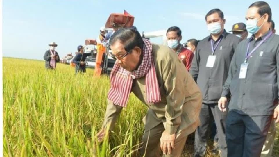 下个月柬埔寨将开展全国农业普查！