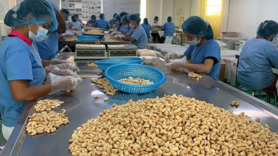 农业部敦促俄罗斯公司从柬埔寨进口农产品！