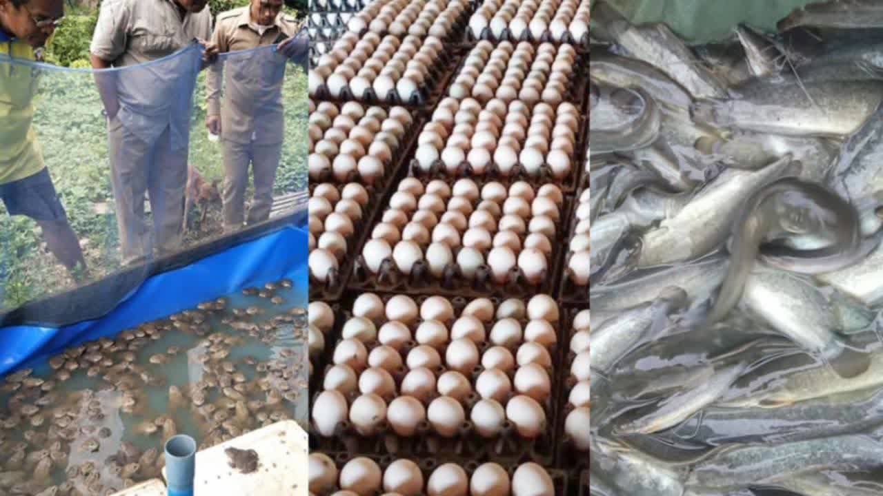 农民抱怨市场货品价格上涨，农产品价格却不断下跌