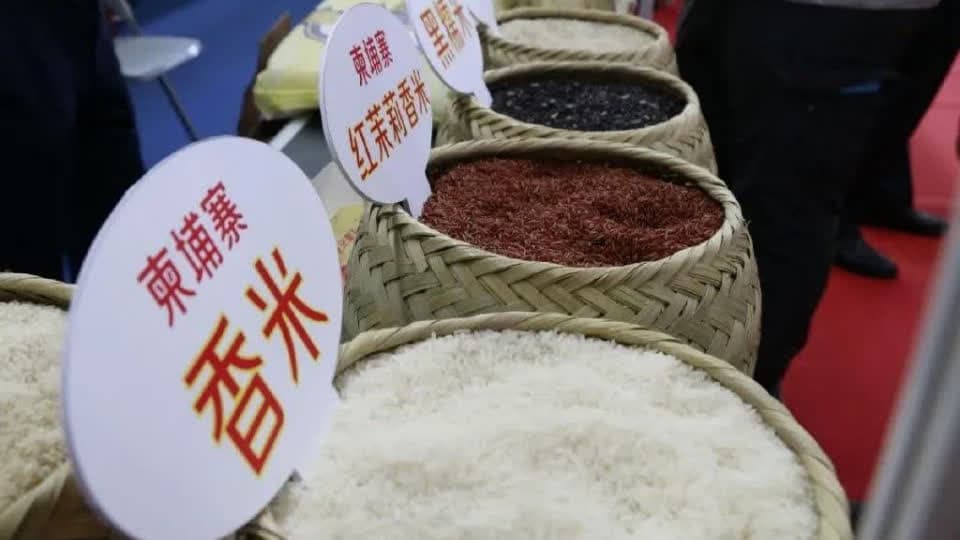 从洞里萨湖到中国餐桌 “一带一路”米香相伴