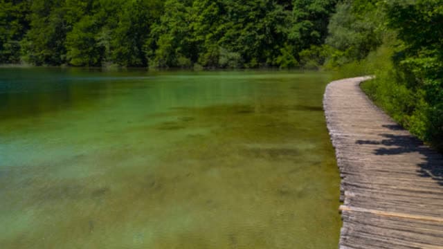 蒙多基里省地价要上涨？答案来了