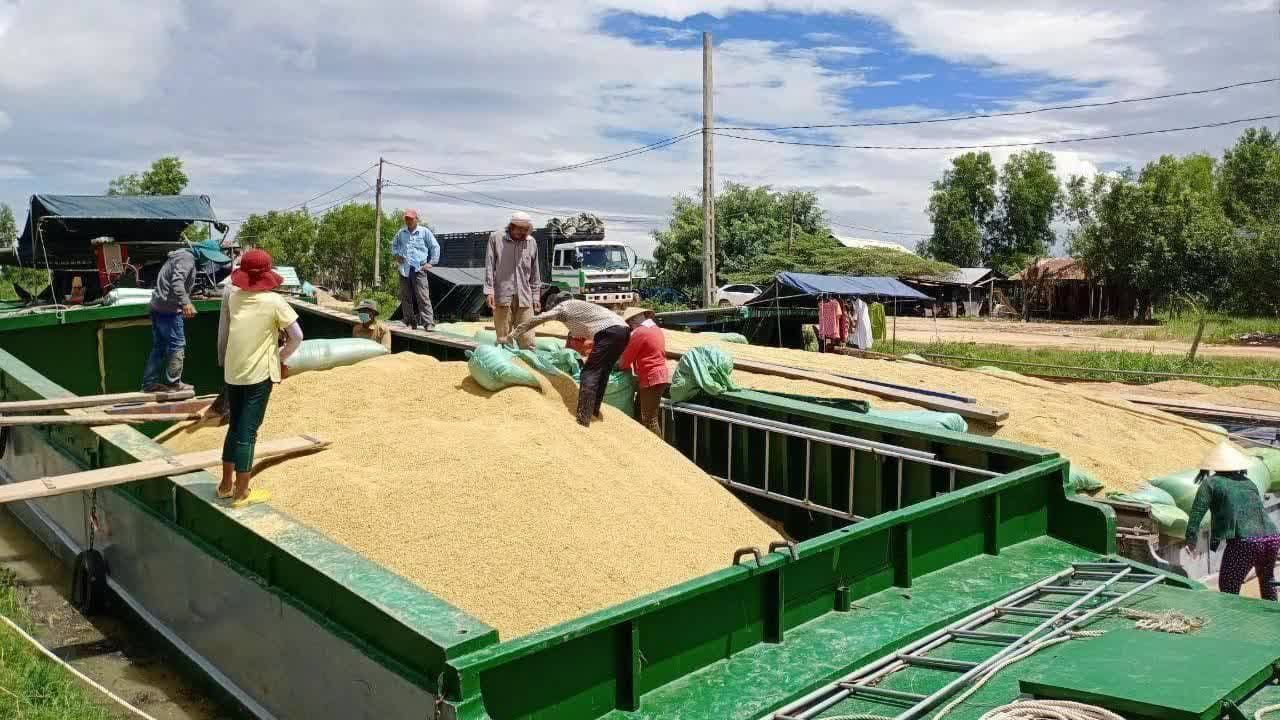 今年前9个月柬埔寨农产品出口高达600万吨